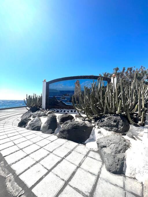 Vila Casa A 50 Metros De La Playa. Supreme Pedro El Socorro Exteriér fotografie
